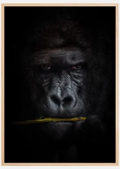 Mysterious gorilla Plakat (21x29.7 cm (A4))