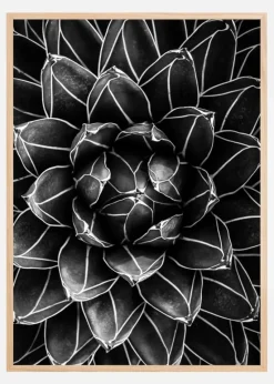 Natural math Plakat (21x29.7 cm (A4))