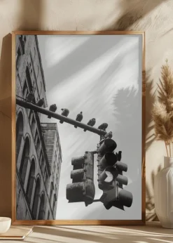 New York City Doves Plakat (21x29.7 cm (A4))