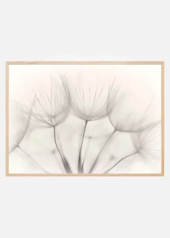 No title Plakat (21x29.7 cm (A4))