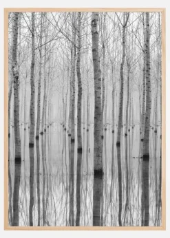 Novembre 2014 Plakat (21x29.7 cm (A4))