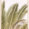 Oasis Palm 01 Oa 01 Plakat (21x29.7 cm (A4))