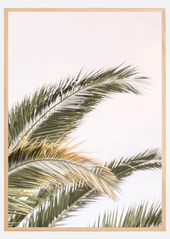 Oasis Palm 03 Plakat (21x29.7 cm (A4))
