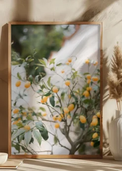 Orange Capri Plakat (21x29.7 cm (A4))