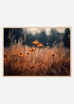 Orange Margarites Plakat (21x29.7 cm (A4))