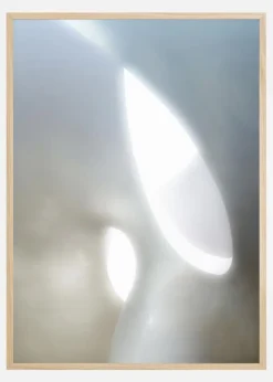 Organic Shapes Plakat (21x29.7 cm (A4))