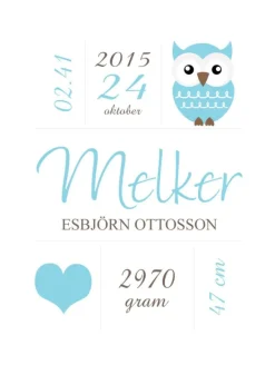 Owl Birth Poster Blue (21x29,7 cm (A4))