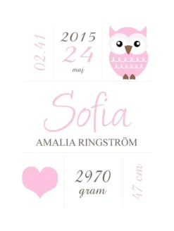 Owl Birth Poster Pink (21x29,7 cm (A4))