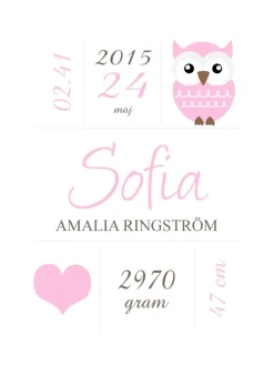Owl Birth Poster Pink (21x29,7 cm (A4))
