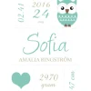 Owl Birth Poster Turquoise (21x29,7 cm (A4))