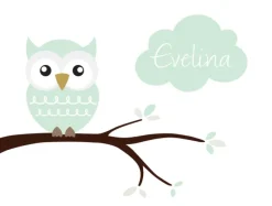 Owl Name Poster Light Green (21x29,7 cm (A4))