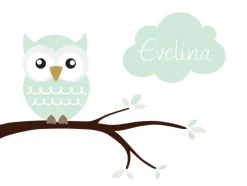 Owl Name Poster Light Green (21x29,7 cm (A4))