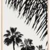 Palm 006 Plakat (21x29.7 cm (A4))