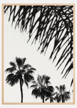 Palm 006 Plakat (21x29.7 cm (A4))