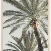 Palm 005 Plakat (21x29.7 cm (A4))