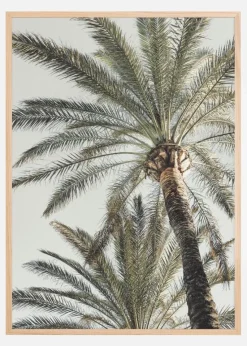 Palm 005 Plakat (21x29.7 cm (A4))