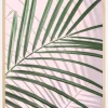 Palm Leaf Shadow Plakat (21x29.7 cm (A4))