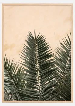 Palm leaves and wall Plakat (21x29.7 cm (A4))
