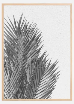 Palm Leaves Plakat (21x29.7 cm (A4))