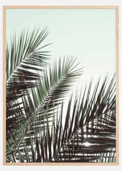 Palm leaves sky Plakat (21x29.7 cm (A4))