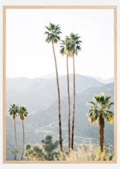 Palm Trees I Plakat (21x29.7 cm (A4))