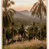 Palm Trees On Mountain Plakat (21x29.7 cm (A4))