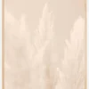 Pampas Grass II Plakat (21x29.7 cm (A4))