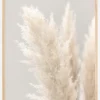Pampas Grass IIII Plakat (21x29.7 cm (A4))