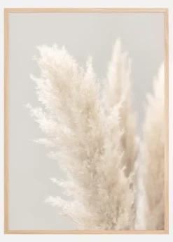 Pampas Grass IIII Plakat (21x29.7 cm (A4))