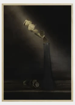 Partially Lighted Plakat (21x29.7 cm (A4))