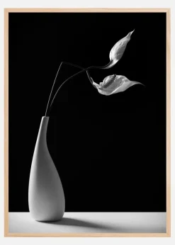 Passionately Plakat (21x29.7 cm (A4))