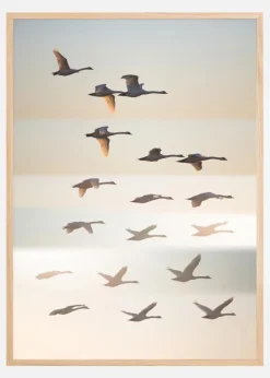 Past The Sun Plakat (21x29.7 cm (A4))