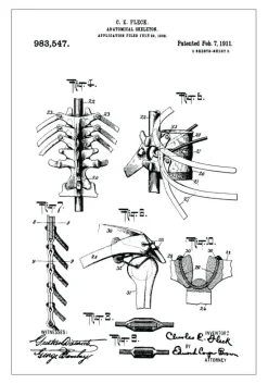 Patenttegning - Anatomisk Skelet III Plakat (21x29.7 cm (A4))