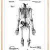 Patenttegning - Anatomisk Skelet I Plakat (21x29.7 cm (A4))