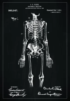 Patenttegning - Skelet I - Sort Plakat (21x29.7 cm (A4))