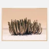 Peach Sky Cactus Plakat (21x29.7 cm (A4))