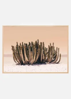 Peach Sky Cactus Plakat (21x29.7 cm (A4))