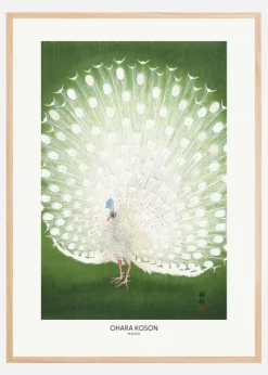 Peacock - Cropped Plakat (21x29.7 cm (A4))