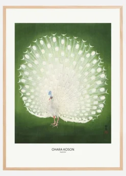 Peacock - Wide Plakat (21x29.7 cm (A4))