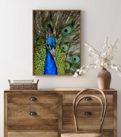 Peacock I Plakat (21x29.7 cm (A4))
