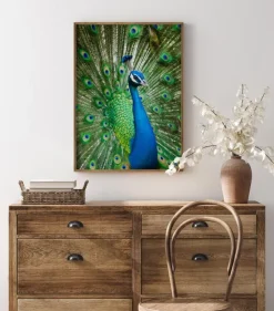 Peacock Plakat (21x29.7 cm (A4))