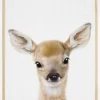 Peekaboo Baby Deer Plakat (21x29.7 cm (A4))