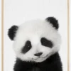 Peekaboo Baby Panda Plakat (21x29.7 cm (A4))