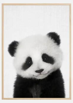 Peekaboo Baby Panda Plakat (21x29.7 cm (A4))