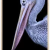 Pelican at night Plakat (21x29.7 cm (A4))