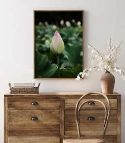 Peony Field Plakat (21x29.7 cm (A4))