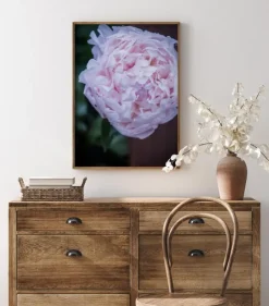 Peony I Plakat (21x29.7 cm (A4))