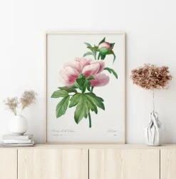 Peony Plakat (21x29.7 cm (A4))