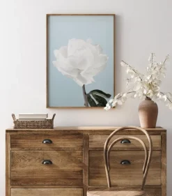 Peony Plakat (21x29.7 cm (A4))