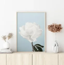 Peony Plakat (21x29.7 cm (A4))